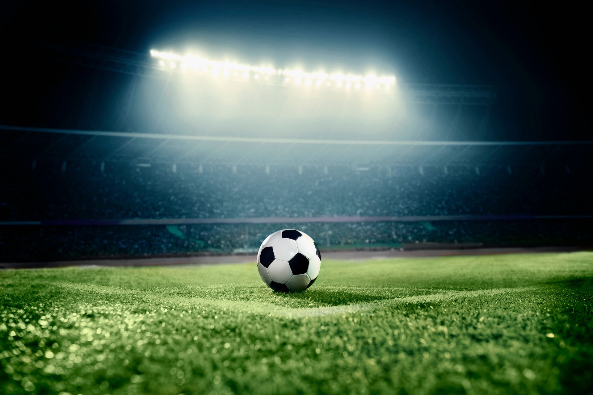 View of soccer ball on athletic field in stadium arena